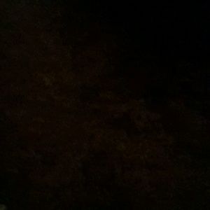 Meet your Posher, Terry